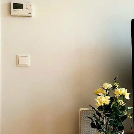 Near Lake Two Bedroom Fully Furnished Apartment Viena Exterior foto
